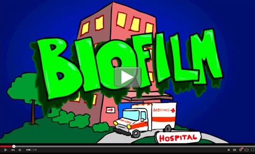 Video: Metabolomics of Bacterial Biofilms